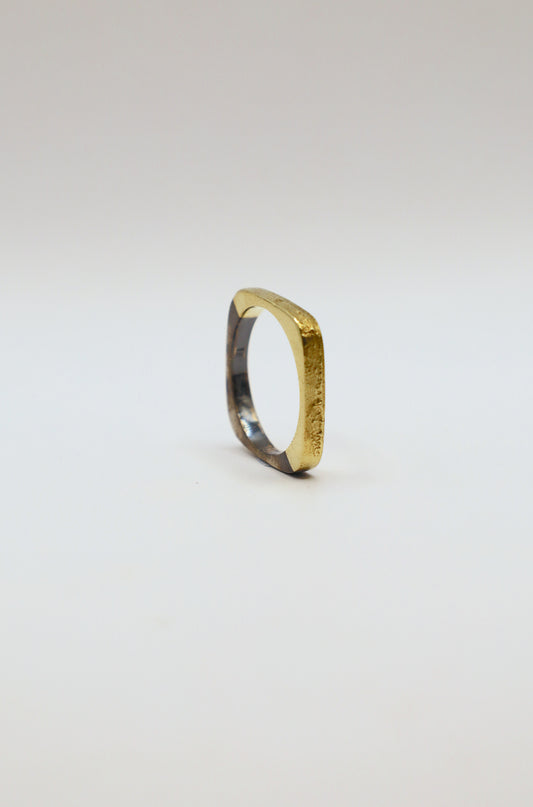 Mixed Metal Ring